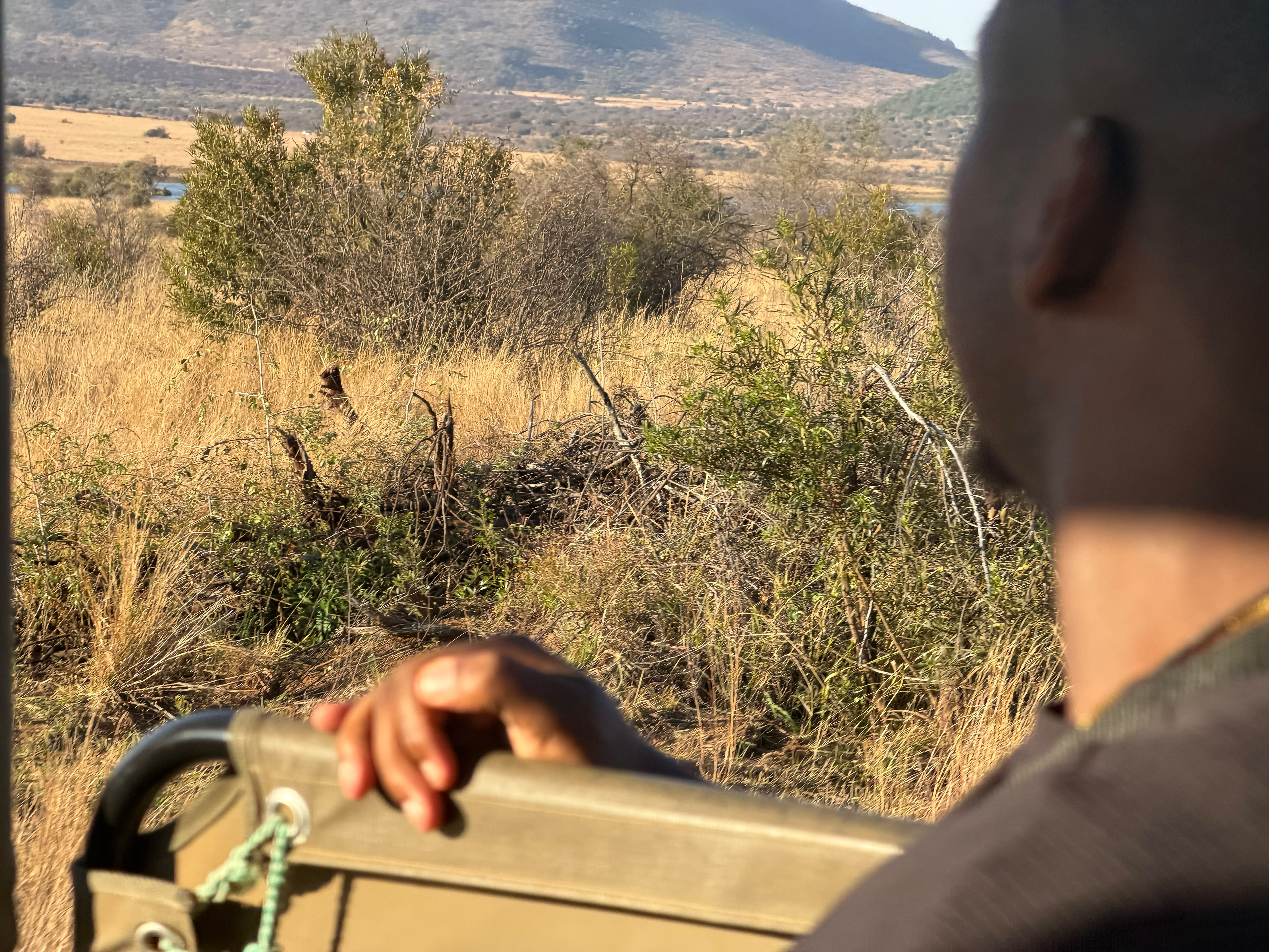 Tourists experiencing African adventure